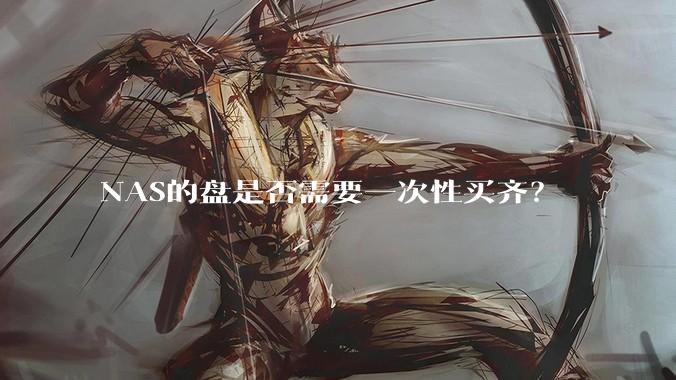 NAS的盘是否需要一次性买齐?