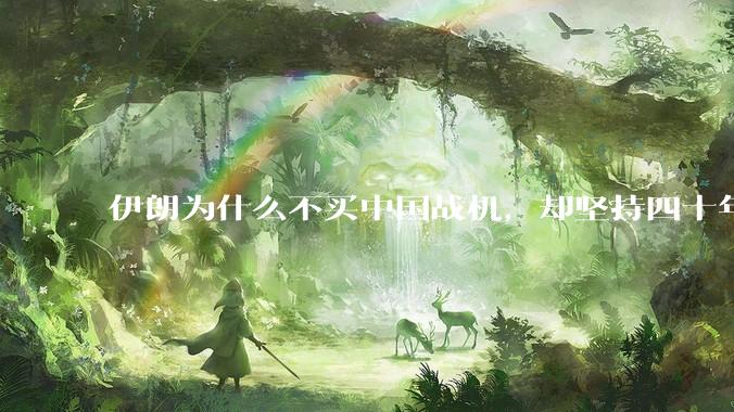 伊朗为什么不买中国战机,却坚持四十年用老旧的苏联米格29、美国F14雄猫战斗机?
