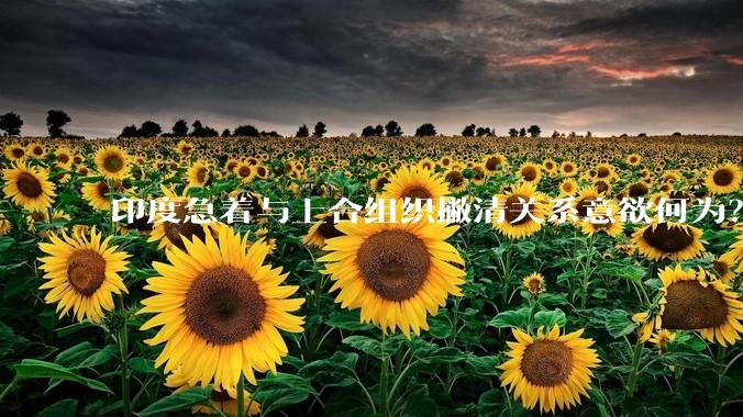 印度急着与上合组织撇清关系意欲何为?