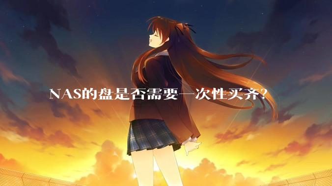 NAS的盘是否需要一次性买齐?